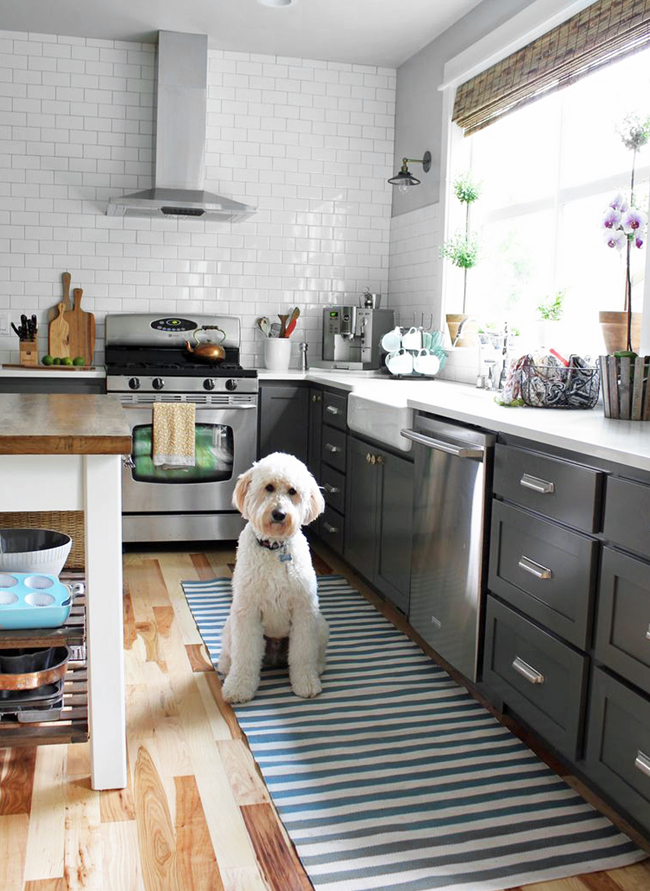 Charcoal-and-white-kitchen-with-dash-albert-rug-and-a-goldendoodle