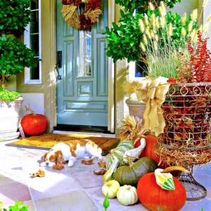 autumn front door and porch with pumpkins and puppy. https://kristywicks.com