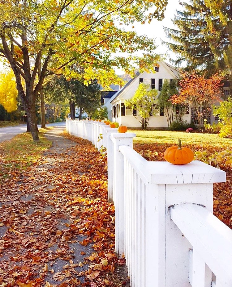 Autumn Front Door Inspiration | Kristy Wicks