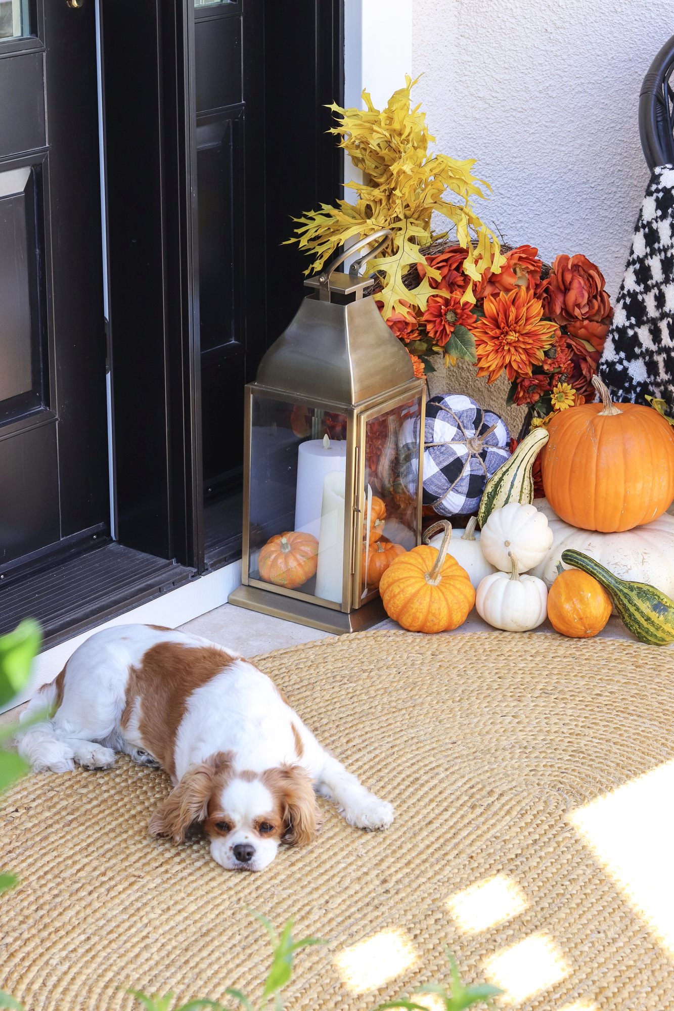 Easy Fall Front Porch Decor Ideas - Affordable and adorable fall and autumn decor pieces (very affordable) holiday porch inspiration and inspo | pinterest