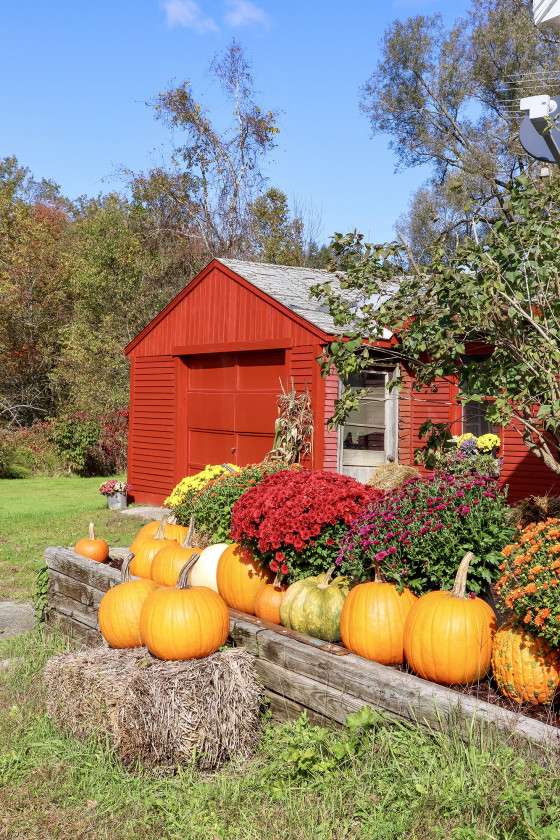 Leaf Peeping in Vermont | Fall in Stowe & Woodstock | - KristyWicks.com