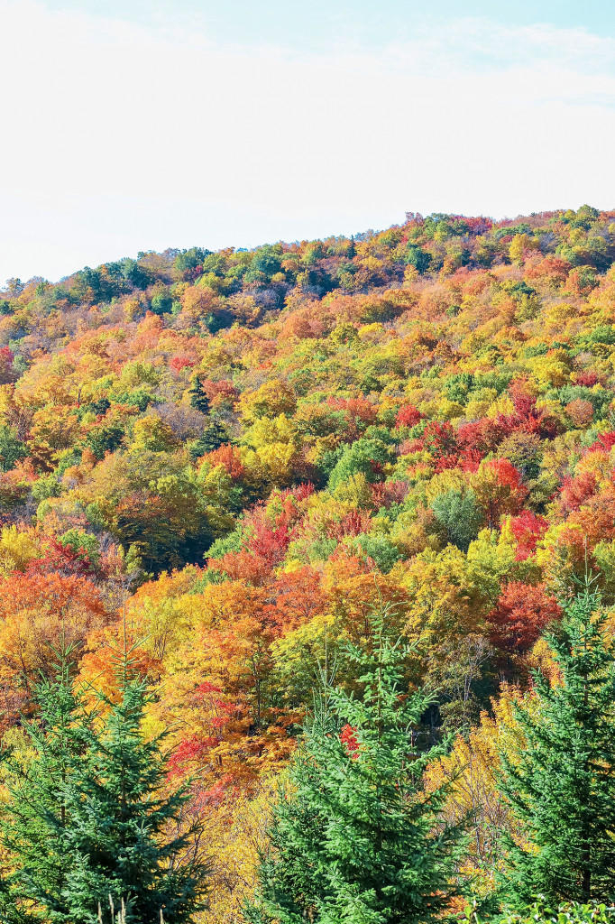 Leaf Peeping In Vermont Fall In Stowe Woodstock KristyWicks Com Leaf Peeping In Vermont Kristy Wicks 13 682x1024 