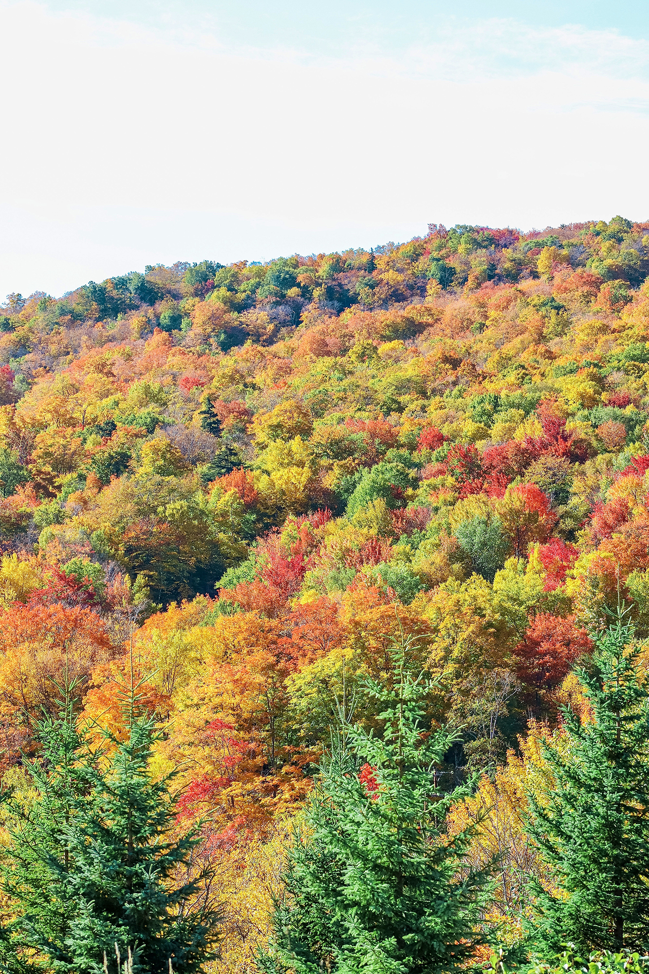 Vermont Fall Travel Guide | Fall Foliage guide, best inns & hotels, top restaurants to eat at, and all the cute towns/places to stop along the way!