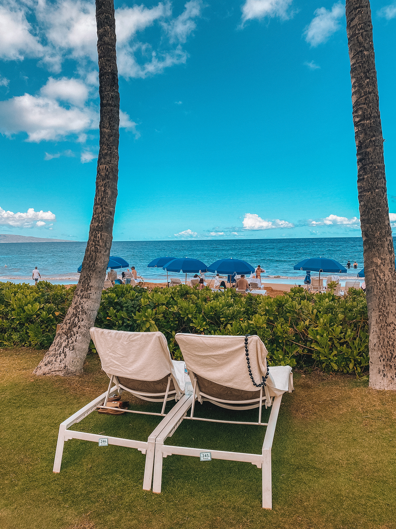 Maui Travel Guide 2021 - Where to stay, eat and play.. plus planning for COVID regulations and restrictions. How to book your maui trip