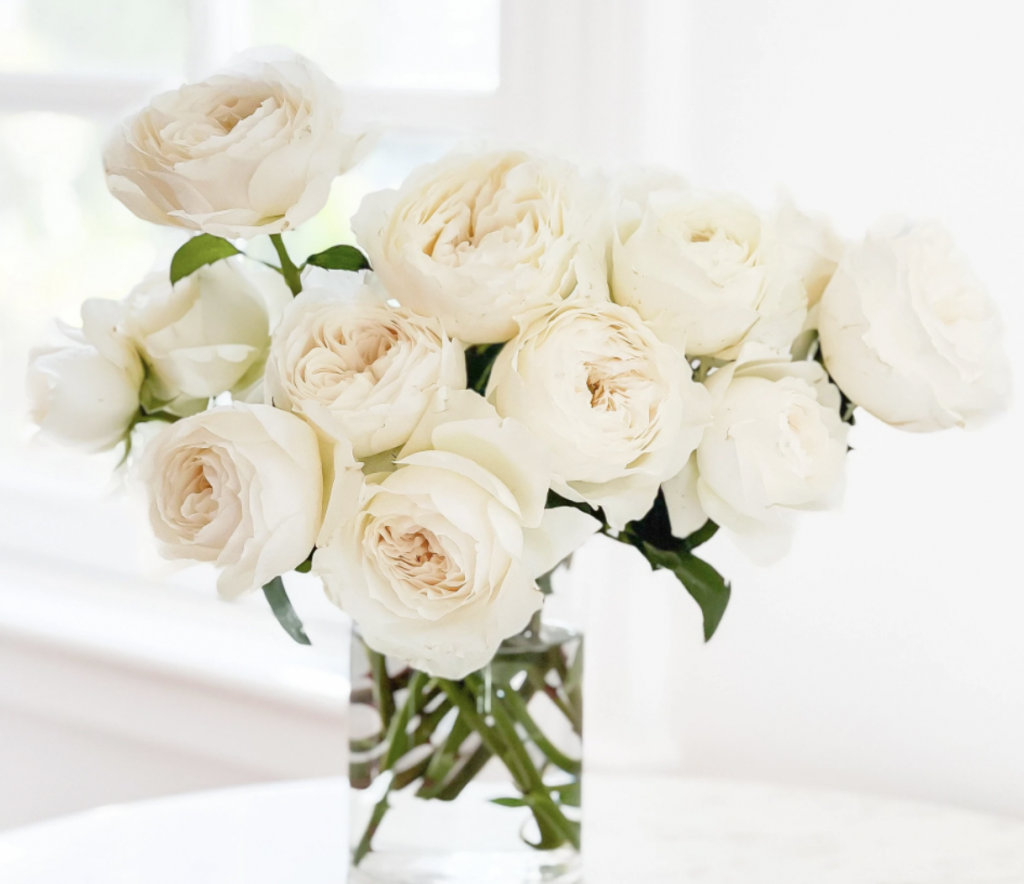 Gifts for Every Mom  Roses